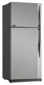 Toshiba GR-RG70UD-L (GS) Ψυγείο φωτογραφία, χαρακτηριστικά