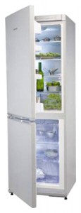 Snaige RF360-1881А Refrigerator larawan, katangian