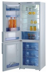 Gorenje RK 61341 W Tủ lạnh ảnh, đặc điểm