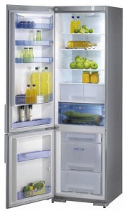 Gorenje RK 65365 E Refrigerator larawan, katangian