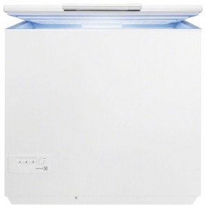 Electrolux EC 12800 AW Refrigerator larawan, katangian