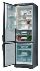 Electrolux QT 3120 W 冰箱 照片, 特点