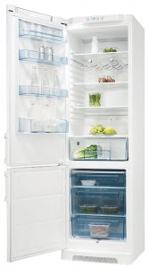 Electrolux ERB 39310 W Refrigerator larawan, katangian