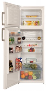 BEKO DS 233020 Tủ lạnh ảnh, đặc điểm