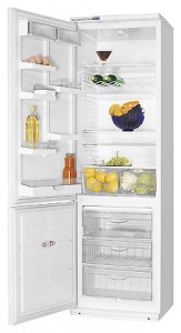 ATLANT ХМ 6024-027 Холодильник фото, Характеристики