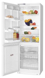 ATLANT ХМ 6019-027 Refrigerator larawan, katangian