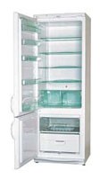 Snaige RF315-1613A Refrigerator larawan, katangian