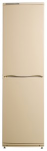 ATLANT ХМ 6025-081 Refrigerator larawan, katangian