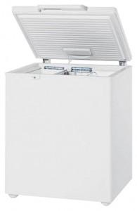 Liebherr GT 2156 Refrigerator larawan, katangian