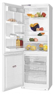 ATLANT ХМ 6019-032 Refrigerator larawan, katangian
