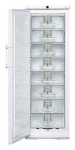 Liebherr G 31130 Refrigerator larawan, katangian