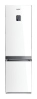 Samsung RL-55 VTE1L Refrigerator larawan, katangian