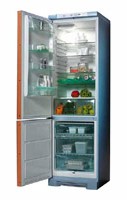 Electrolux ERB 4110 AB Refrigerator larawan, katangian