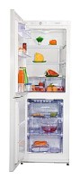 Snaige RF30SM-S10001 Refrigerator larawan, katangian