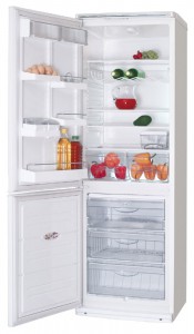 ATLANT ХМ 6019-012 Холодильник фото, Характеристики