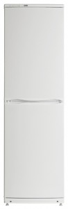ATLANT ХМ 6023-012 Холодильник Фото, характеристики