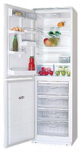 ATLANT ХМ 6023-013 Refrigerator larawan, katangian