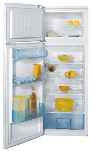 BEKO DSA 25010 Buzdolabı fotoğraf, özellikleri
