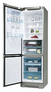 Electrolux ERZ 3670 X Refrigerator larawan, katangian