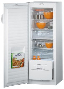 Candy CFU 2700 E Refrigerator larawan, katangian