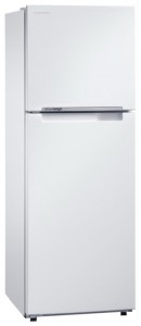 Samsung RT-29 FARADWW Buzdolabı fotoğraf, özellikleri