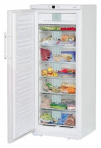 Liebherr GNP 2906 Refrigerator larawan, katangian