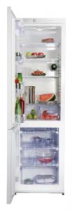 Snaige RF39SM-S10001 Холодильник Фото, характеристики