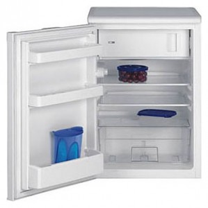 BEKO TSE 1410 Refrigerator larawan, katangian