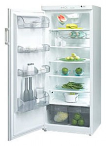Fagor 1FSC-18 EL Холодильник Фото, характеристики
