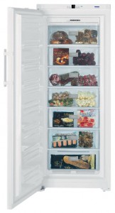 Liebherr GN 3613 Refrigerator larawan, katangian
