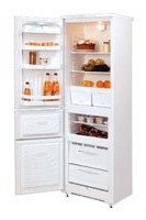 NORD 184-7-021 Холодильник Фото, характеристики