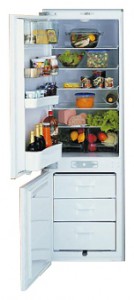 Hansa RFAK311iBFP Refrigerator larawan, katangian
