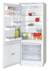 ATLANT ХМ 4009-012 Tủ lạnh ảnh, đặc điểm
