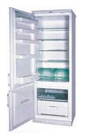 Snaige RF315-1671A Refrigerator larawan, katangian