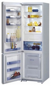 Gorenje RK 67365 SB Refrigerator larawan, katangian
