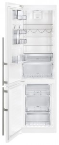 Electrolux EN 3889 MFW Холодильник фото, Характеристики