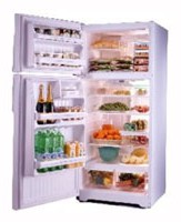 General Electric GTG16HBMSS Холодильник фото, Характеристики
