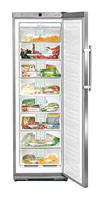 Liebherr GNes 2866 Холодильник Фото, характеристики