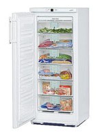 Liebherr GN 2153 Refrigerator larawan, katangian