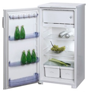 Бирюса 10 ЕK Tủ lạnh ảnh, đặc điểm