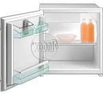 Gorenje RI 090 C Refrigerator larawan, katangian