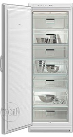 Gorenje F 31 CC Холодильник Фото, характеристики