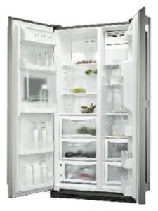 Electrolux ENL 60812 X Refrigerator larawan, katangian