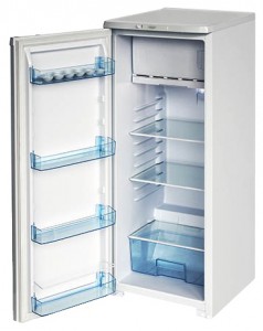 Бирюса R110CA Tủ lạnh ảnh, đặc điểm