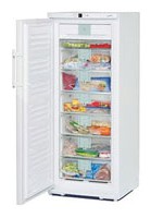 Liebherr GN 2956 Холодильник Фото, характеристики
