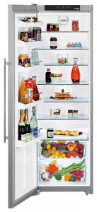 Liebherr Skesf 4240 Refrigerator larawan, katangian