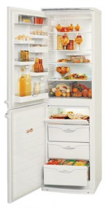 ATLANT МХМ 1805-34 Холодильник Фото, характеристики