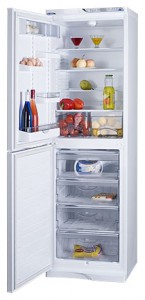 ATLANT МХМ 1848-63 Холодильник фото, Характеристики