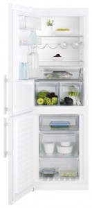 Electrolux EN 13445 JW Refrigerator larawan, katangian