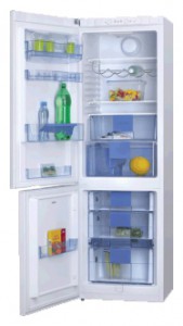Hansa FK310MSW Холодильник Фото, характеристики